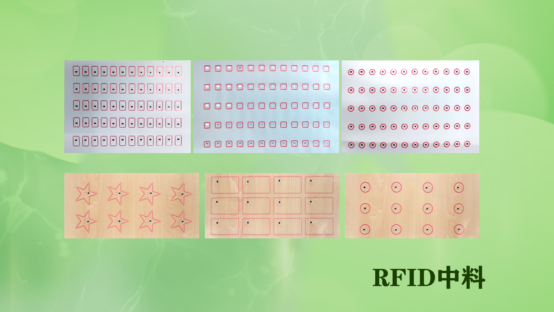 微信圖片_20250704114502
